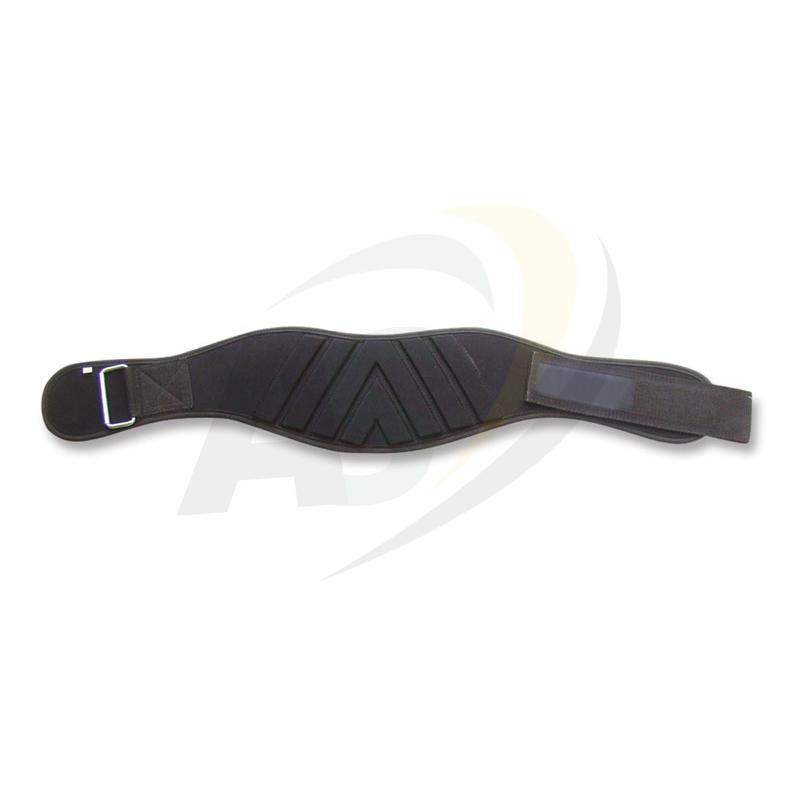 Polyester Belts