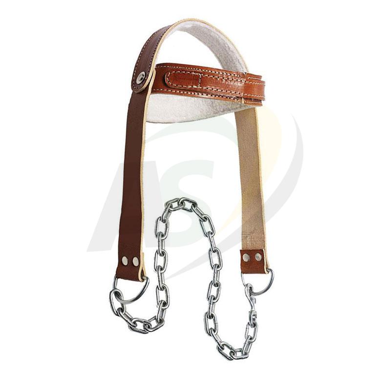 Head Harness