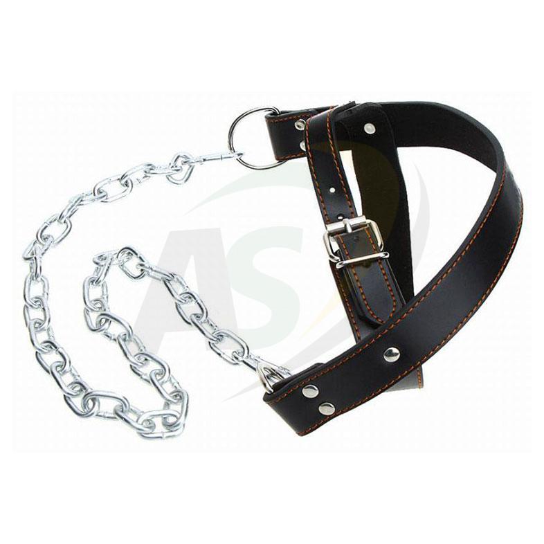 Head Harness